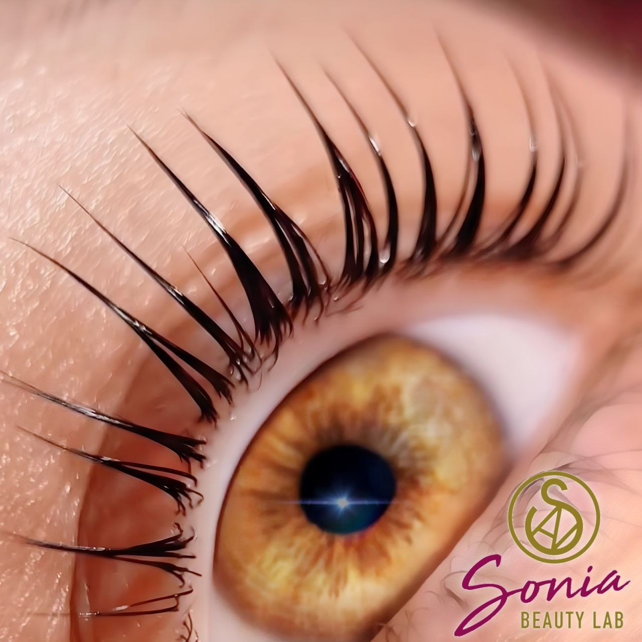 20474_acab03602aca4d69e6113764e92415c28dc9dc88