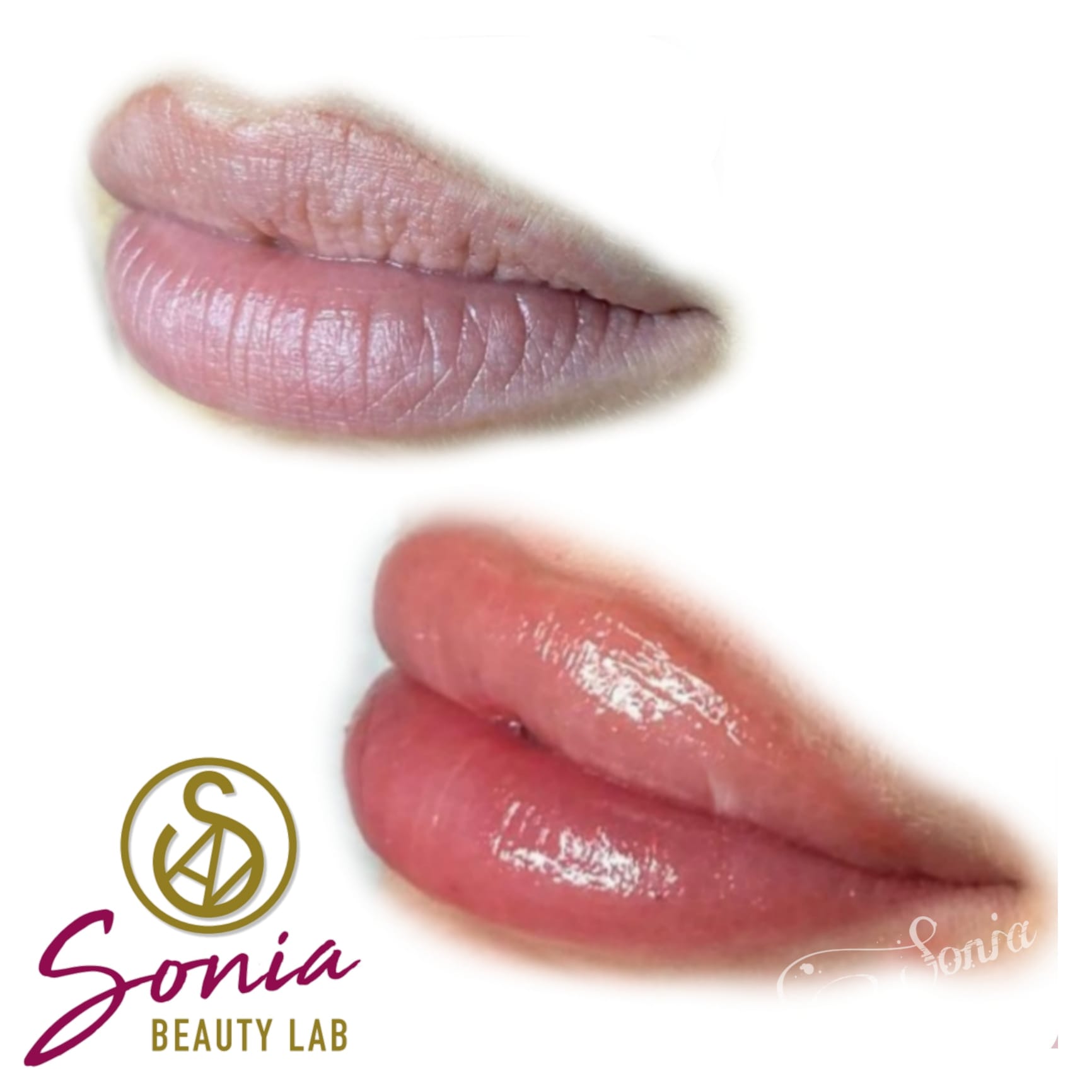 20474_ce2f90773c3f040d6c22761996a951a2fc74c9ad