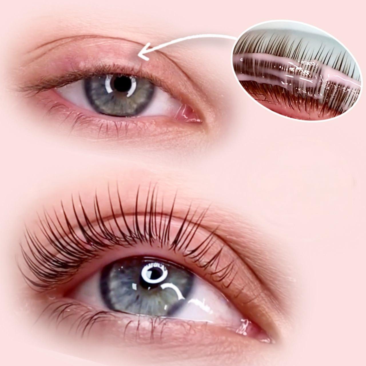 wmremove-transformed (1)