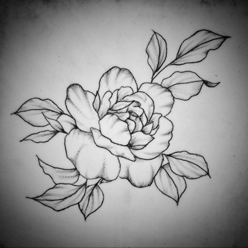 20474_4a3e048714fc71c447c3fa91eaa3172920ec6b0e