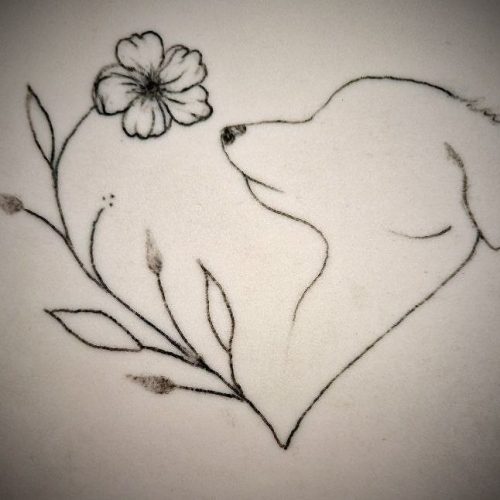 20474_53dc59bb592ef3e87e3d83b2d2c772c93d4b5b19